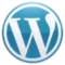 WordPress Developer in Qatar
